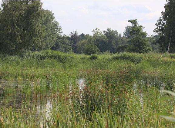Natuurbeheerplannen Natuurbeheerplannen